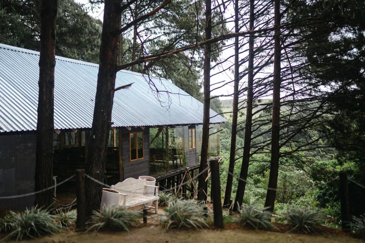 Dargle Forest Lodge 外观 照片